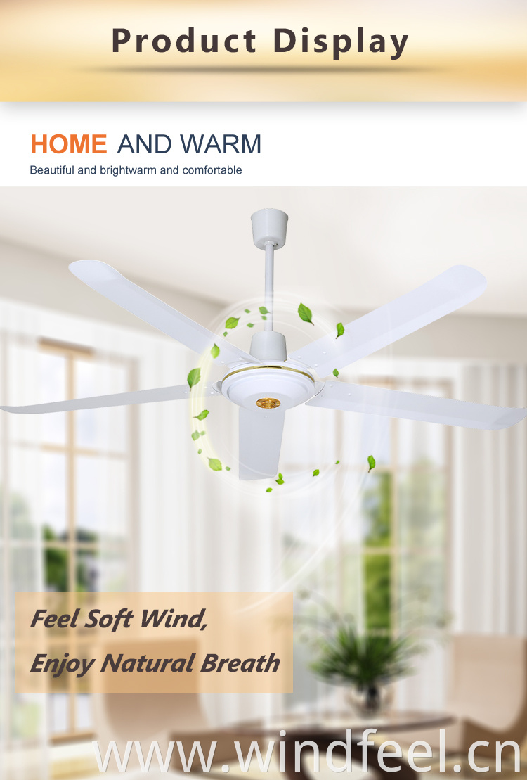 Foshan Factory 56inch Electrical Ceiling Fan White